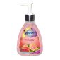 Northfork Liquid Hand Wash Guava Papaya And Cucumb 250ML